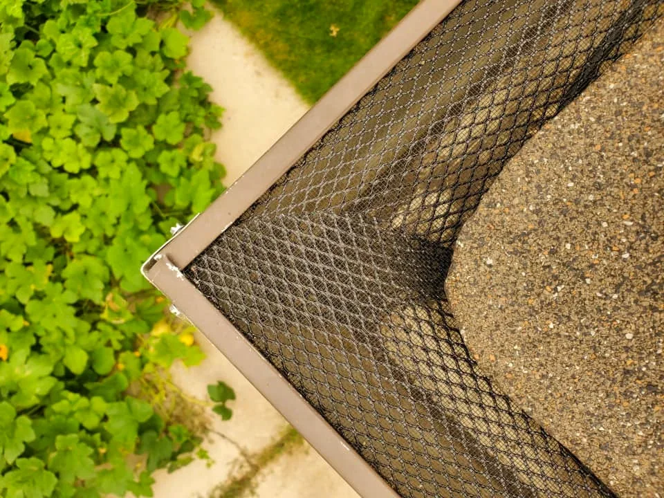 Corner downspout and drainage detail on a Plant City gutter installation